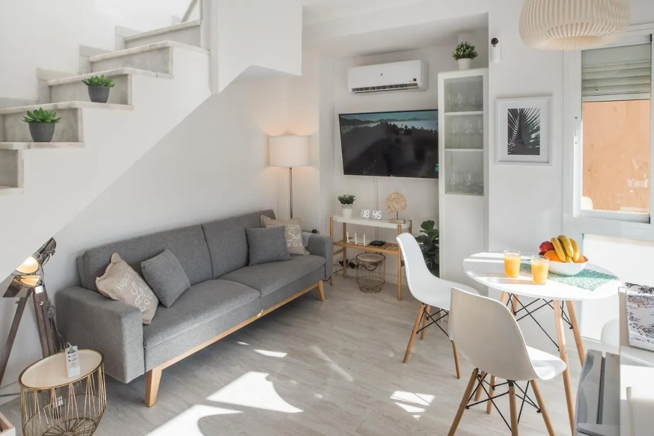 Elegant Duplex P/3 In Malaga With Terrace And Wifi Apartment