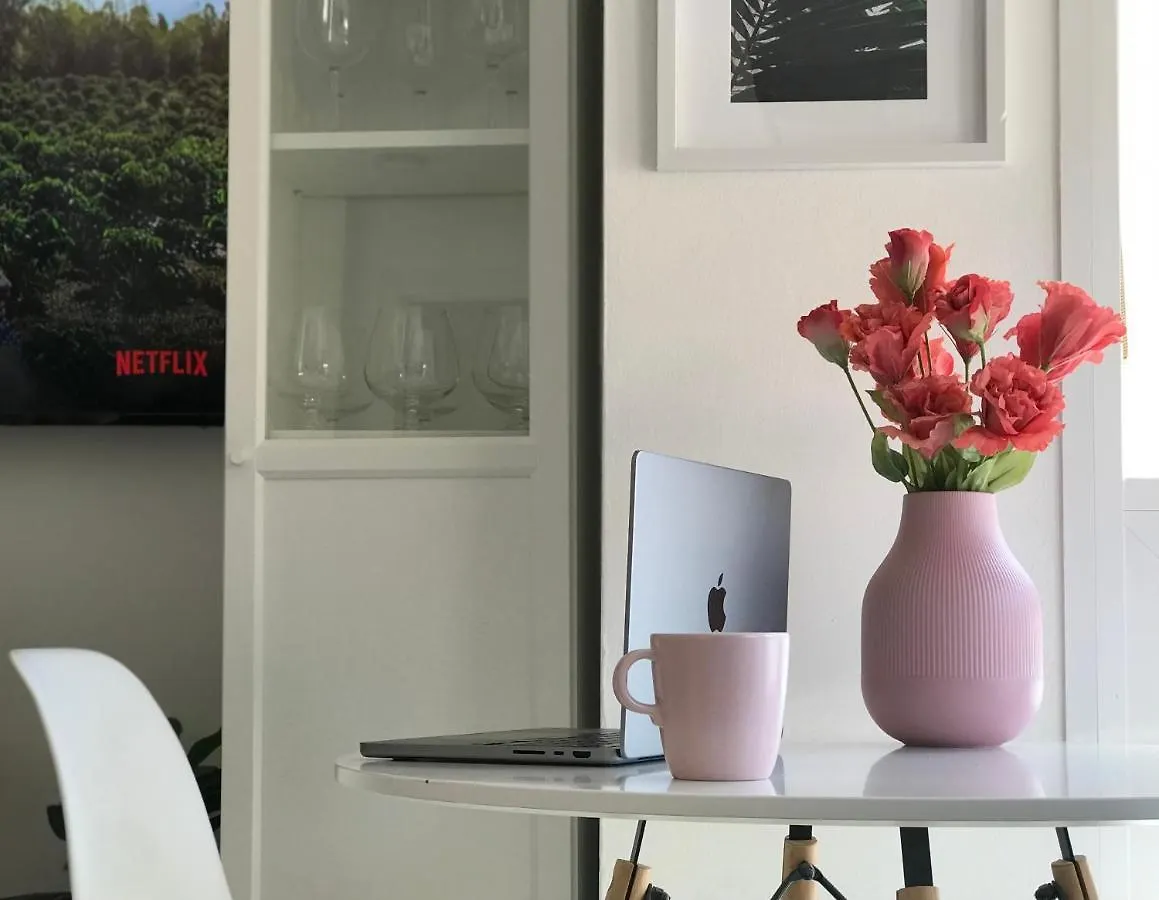 Elegant Duplex P/3 In Malaga With Terrace And Wifi Apartment